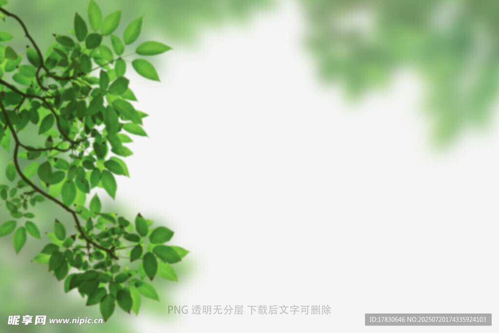 树叶虚化前景