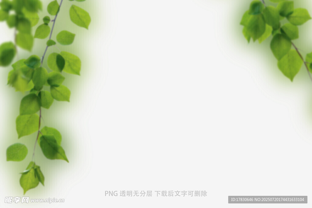 树叶虚化前景