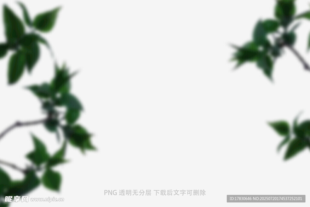 树叶虚化前景