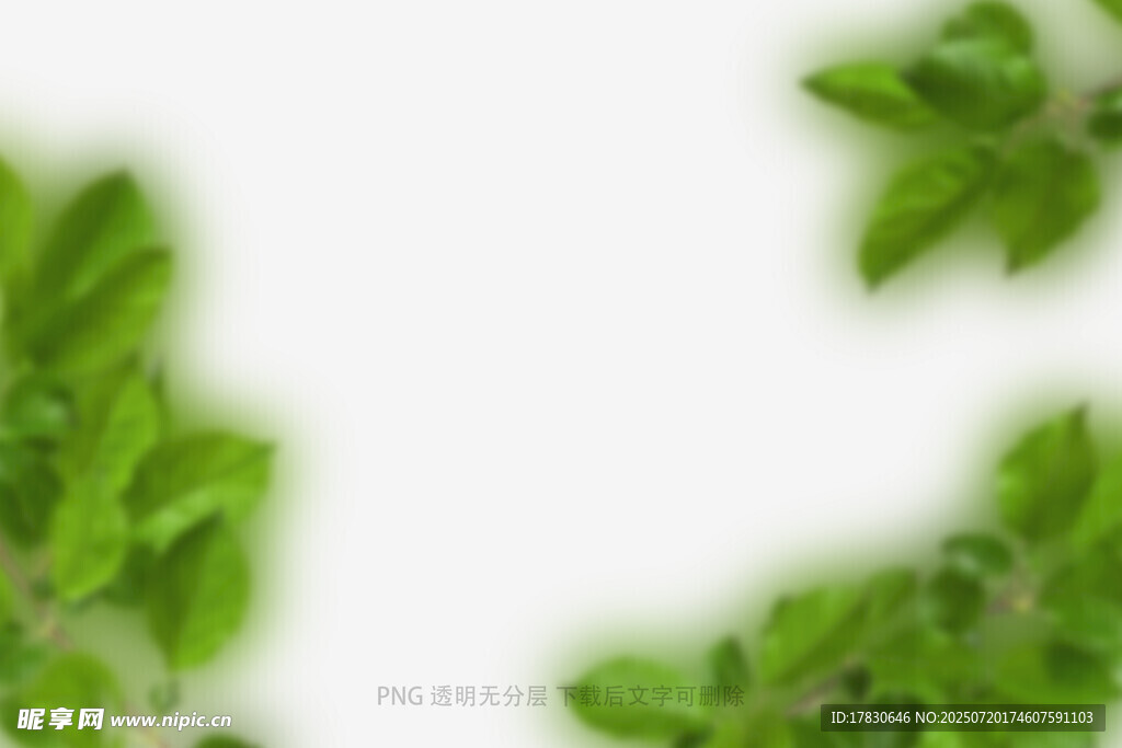 树叶虚化前景