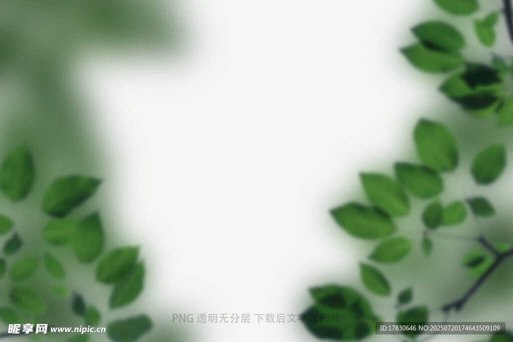 树叶虚化前景