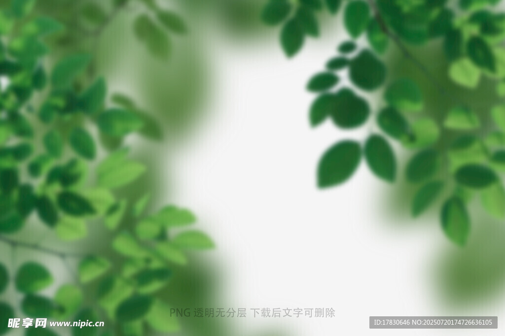 树叶虚化前景