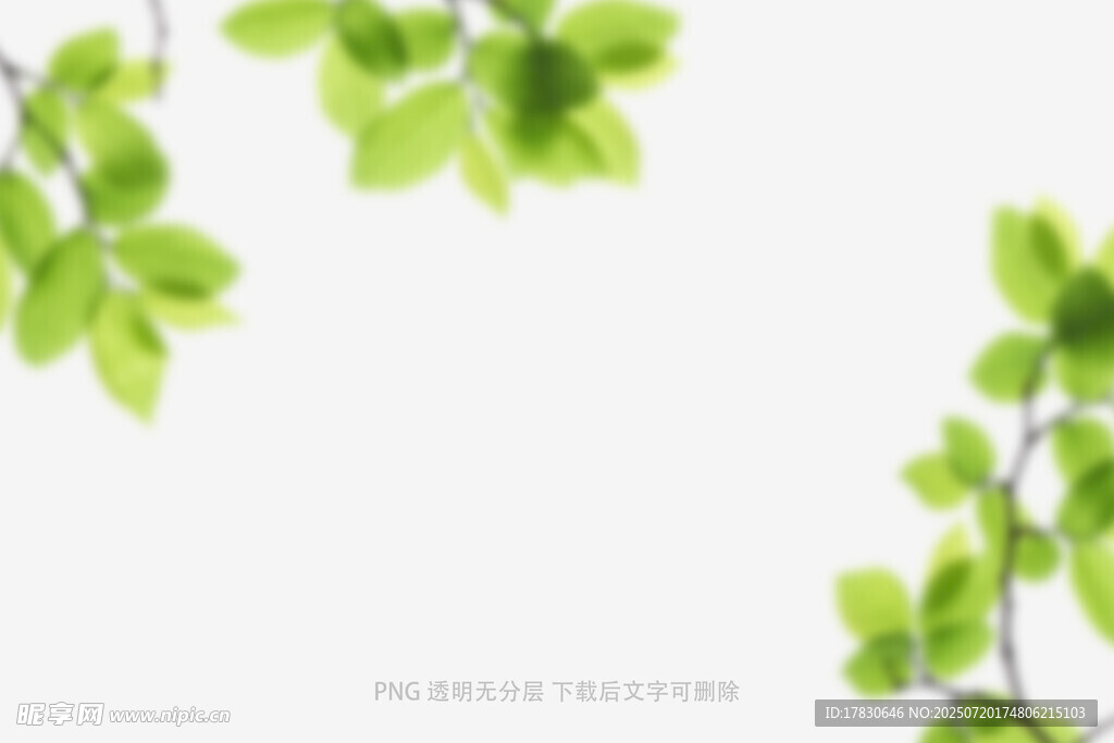 树叶虚化前景