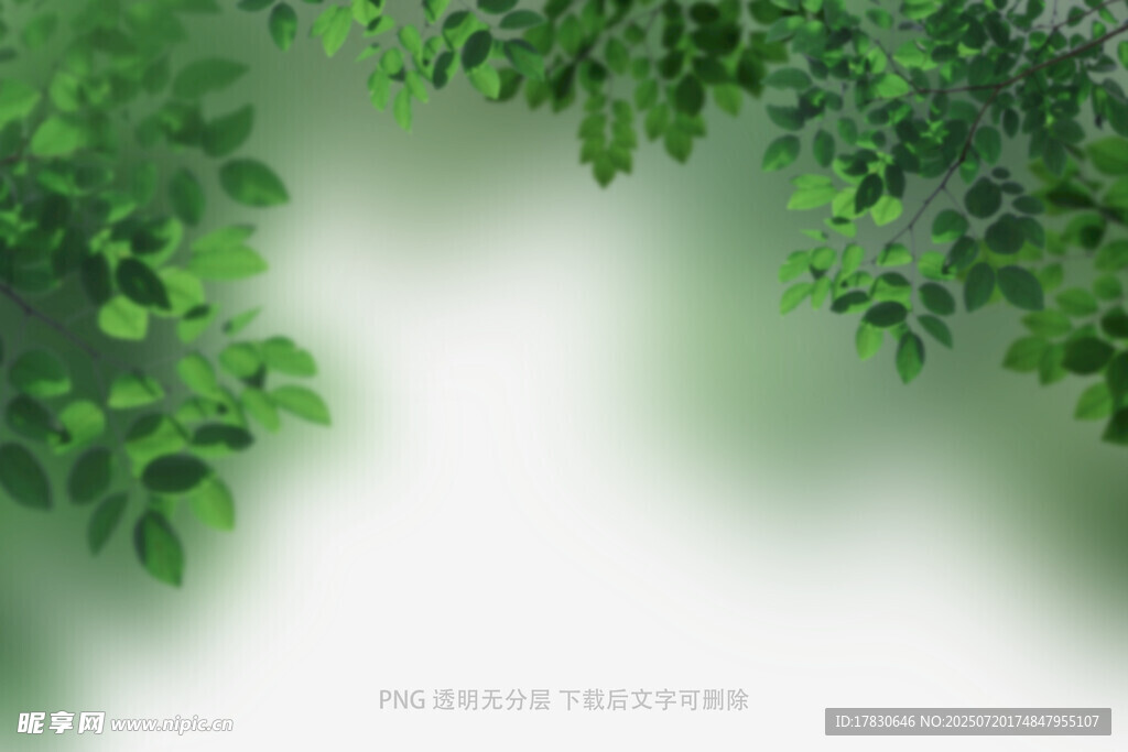 树叶虚化前景