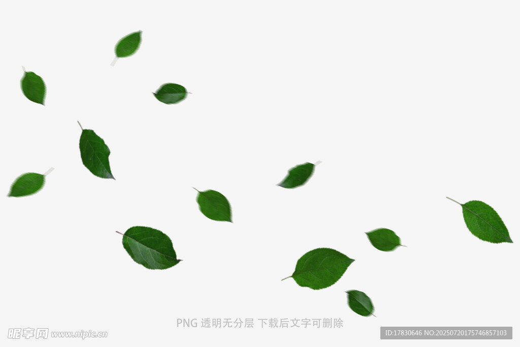 树叶掉落素材