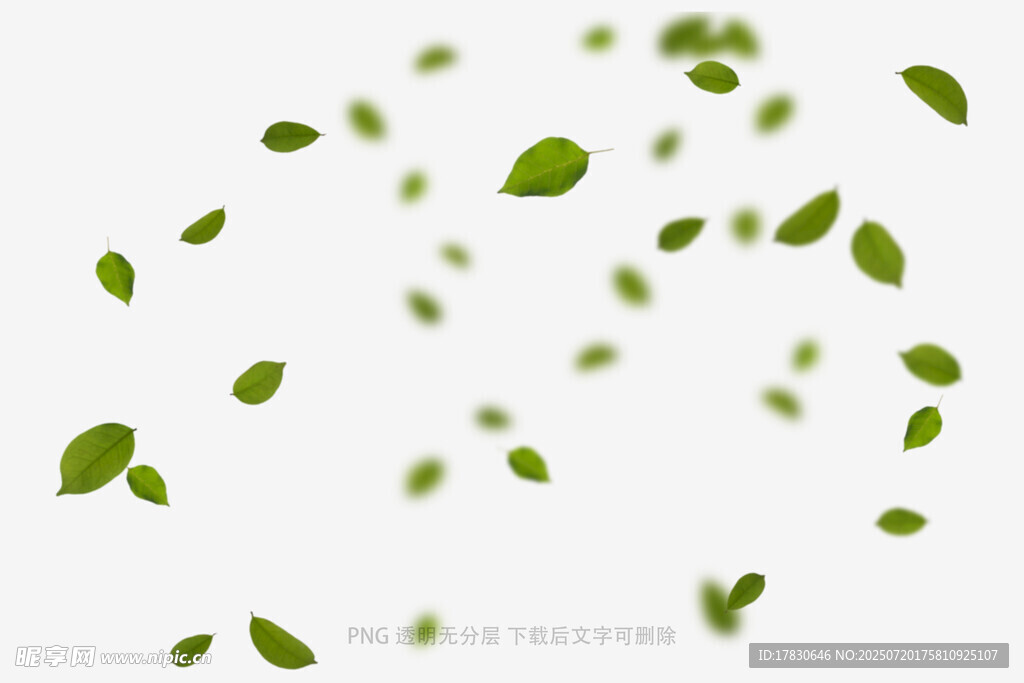 树叶掉落素材