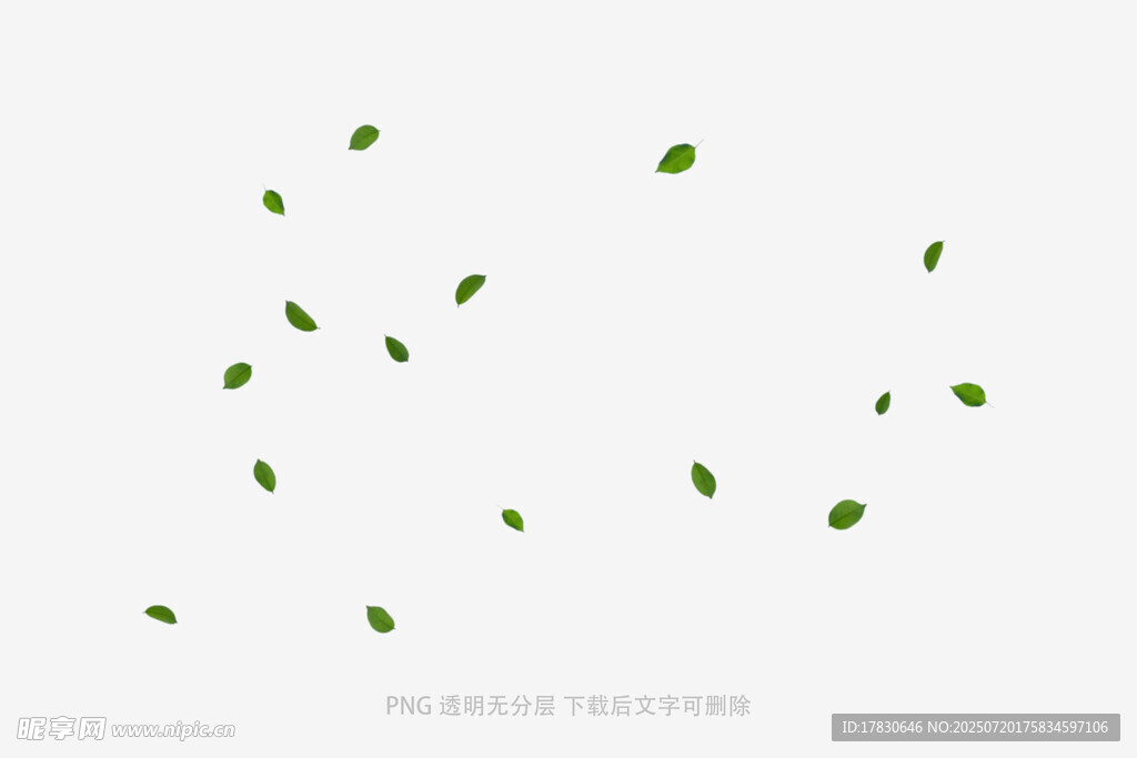 树叶掉落素材
