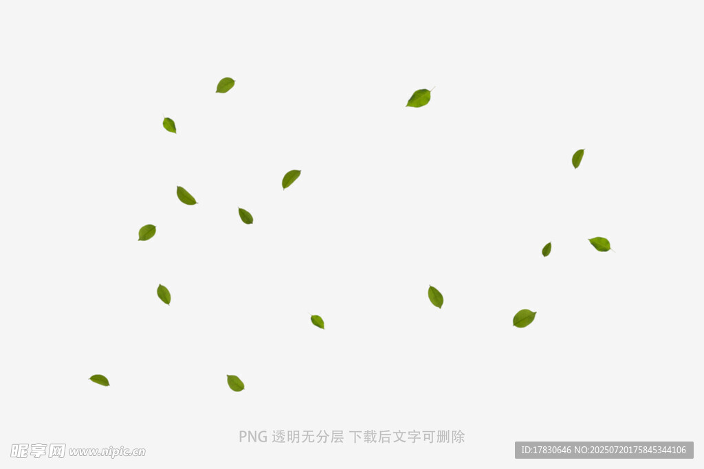 树叶掉落素材