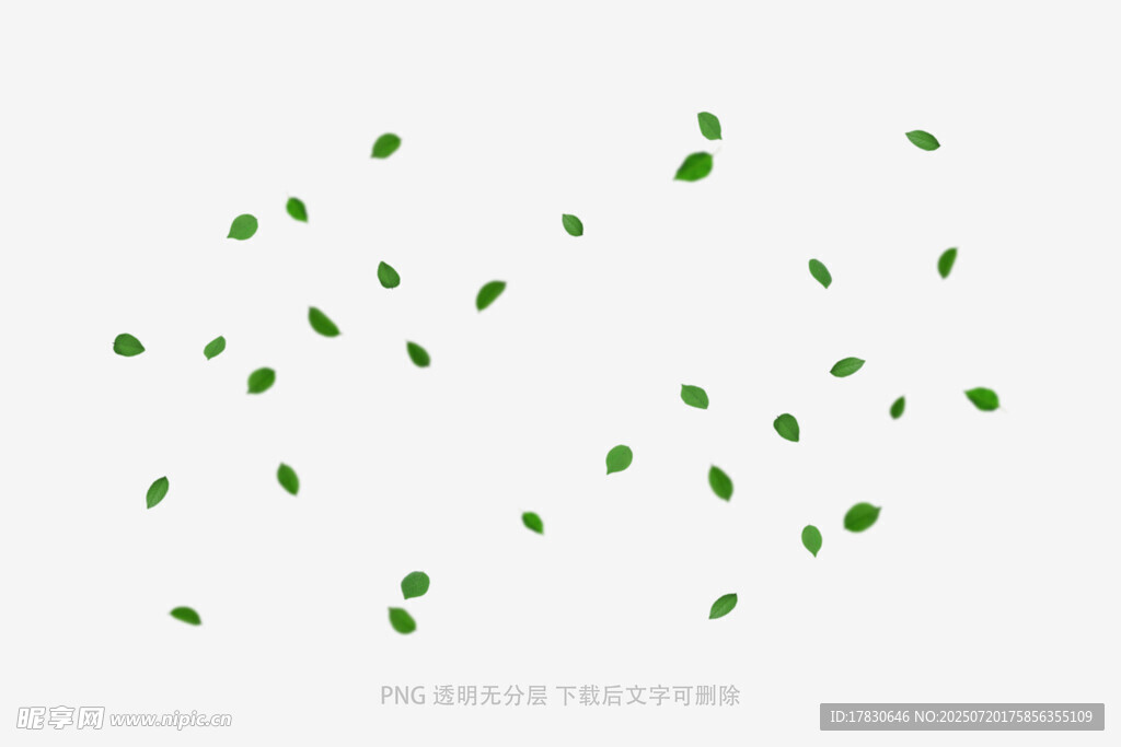 树叶掉落素材