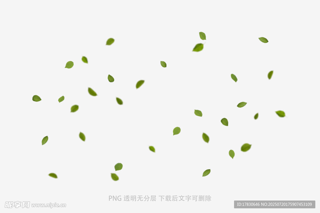 树叶掉落素材