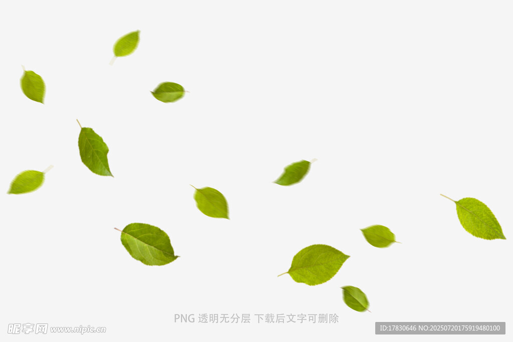 树叶掉落素材