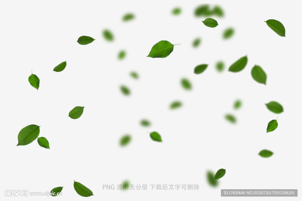 树叶掉落素材