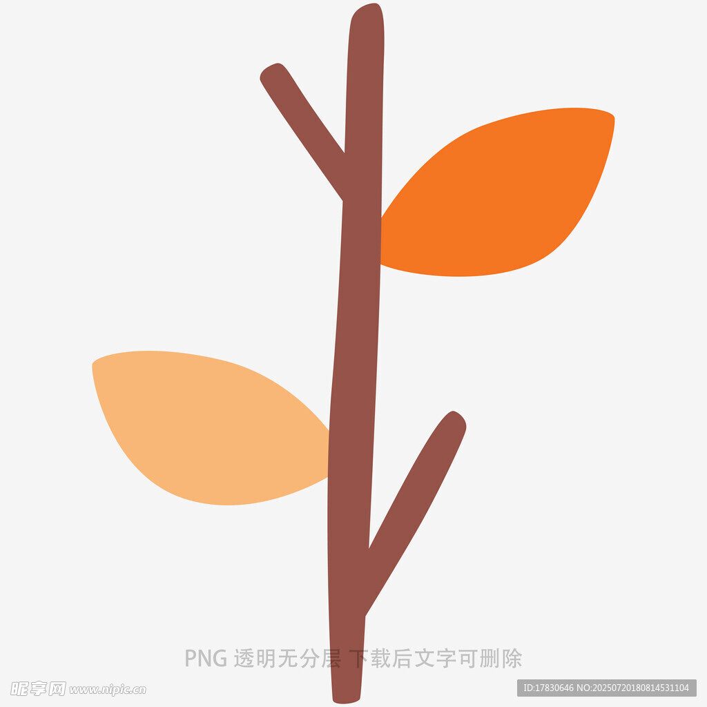 简约风秋日树枝插画