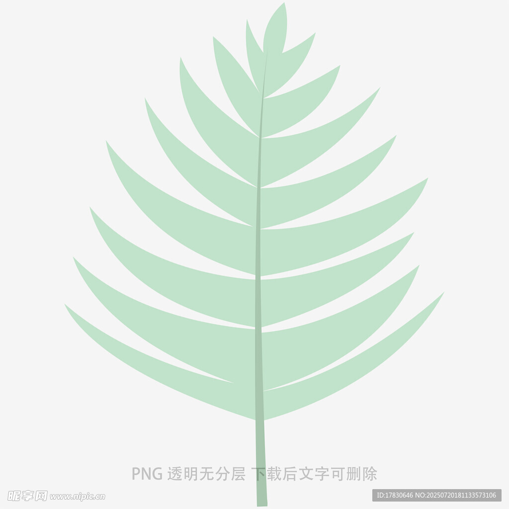 清新浅绿色羽状叶片图案