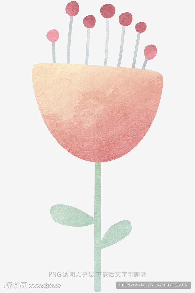 手绘粉色花朵插画