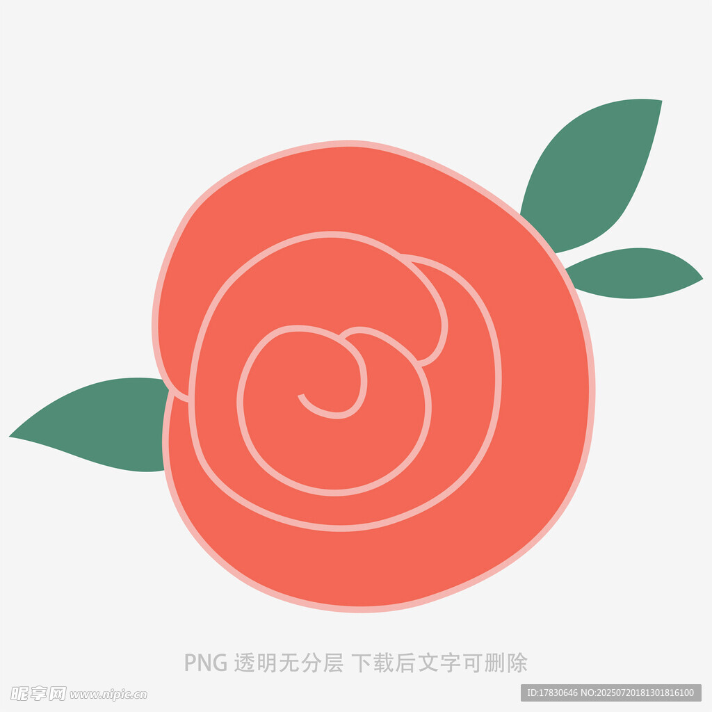 简约线条风橙色玫瑰花