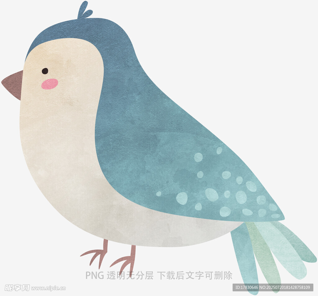 可爱蓝白小鸟插画