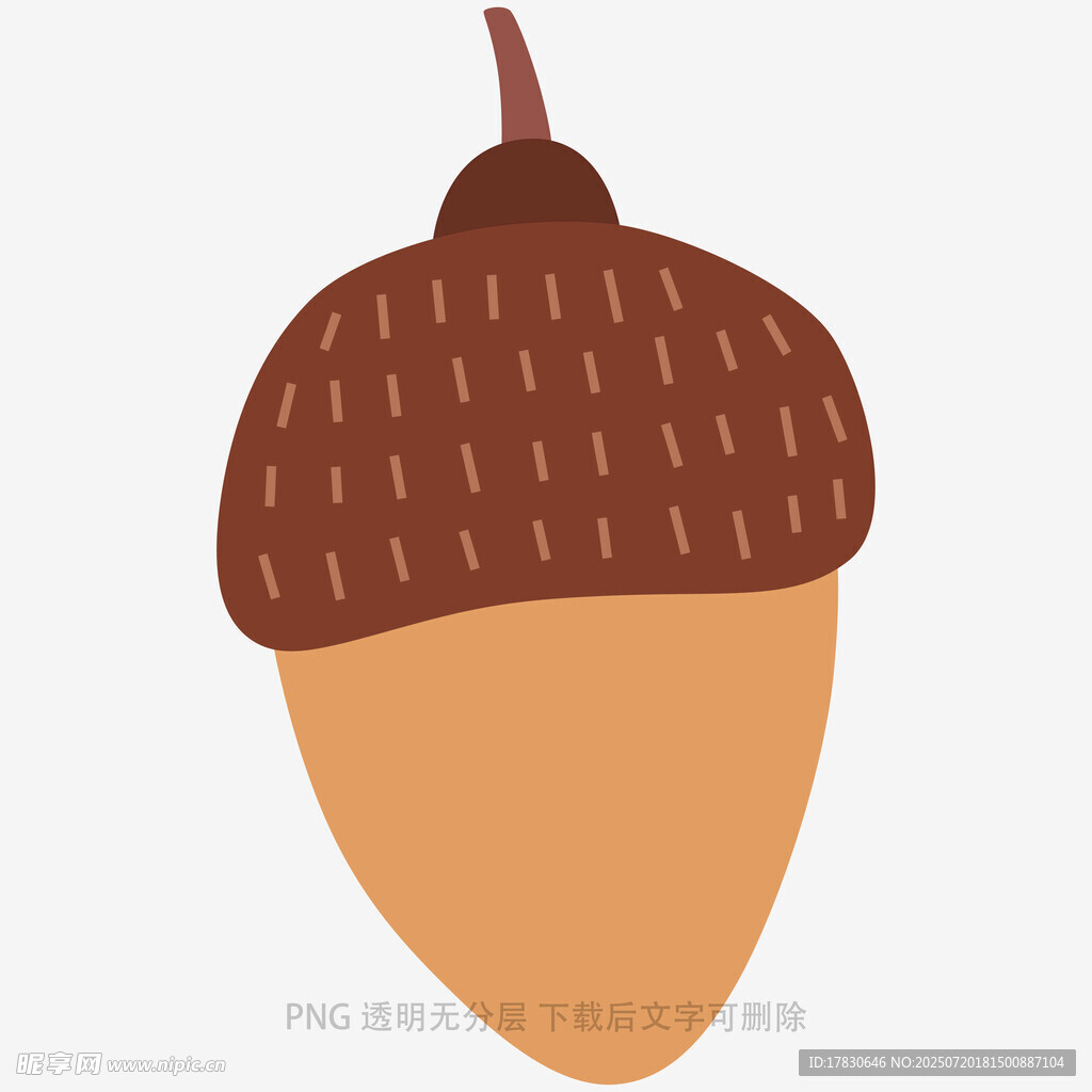 卡通风格橡果插画