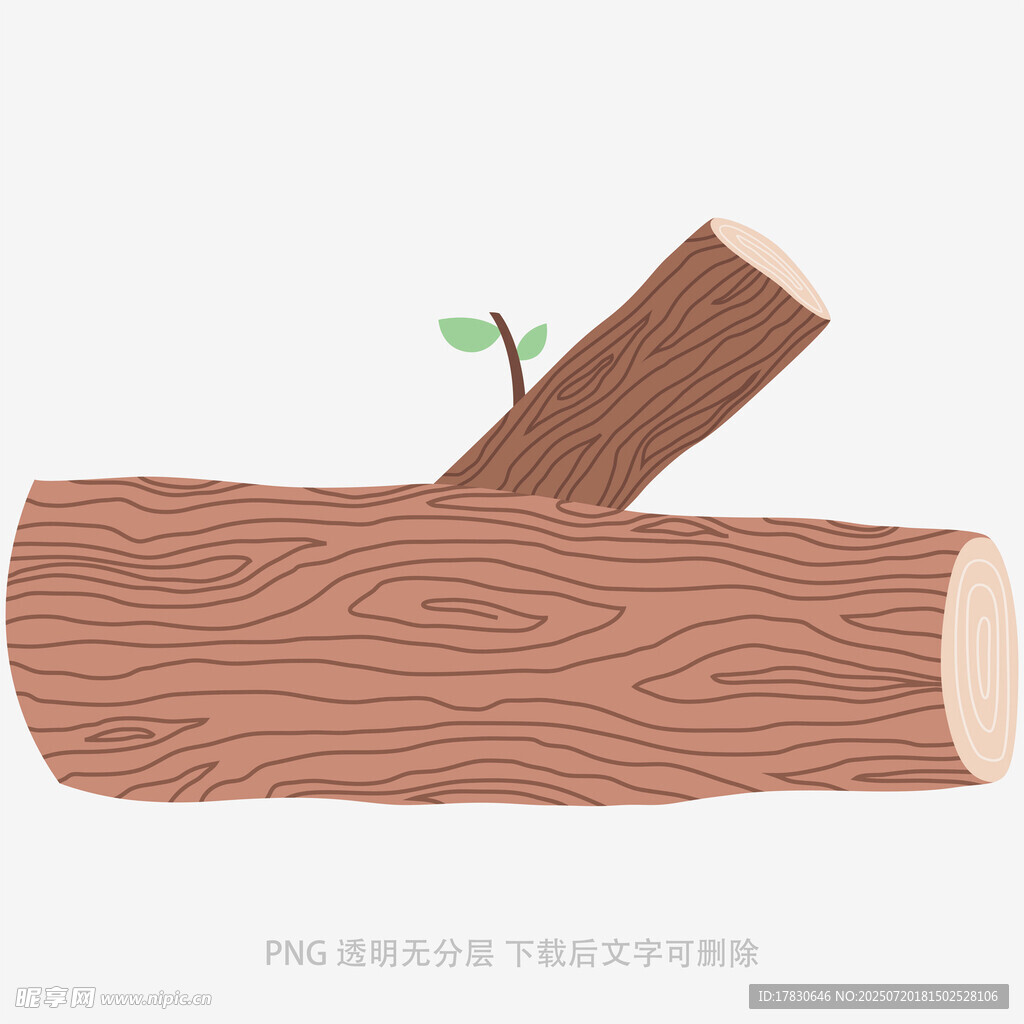 原木上的新生嫩芽
