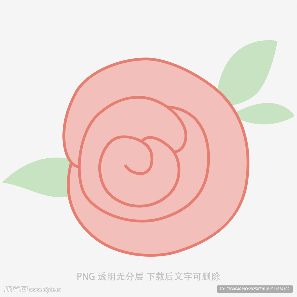 简约粉色玫瑰花插画