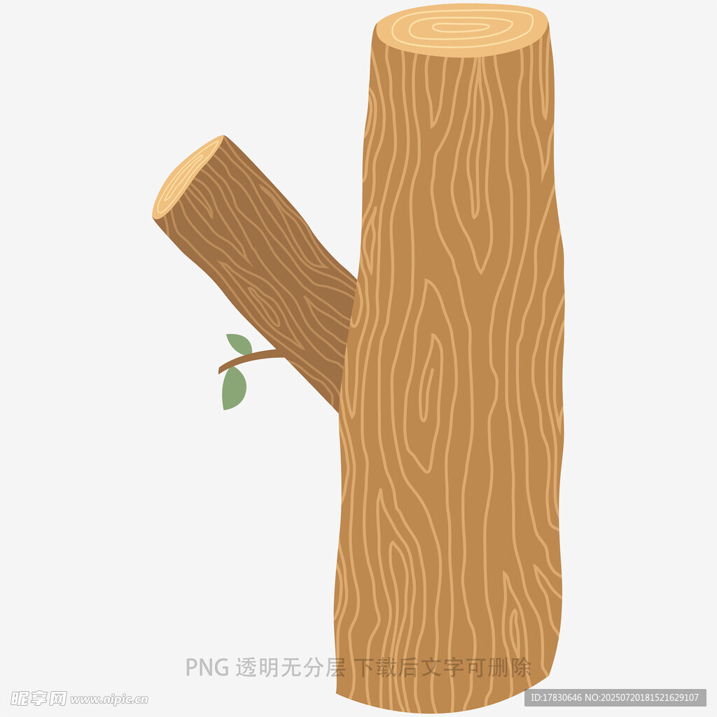 树桩上的新生嫩芽
