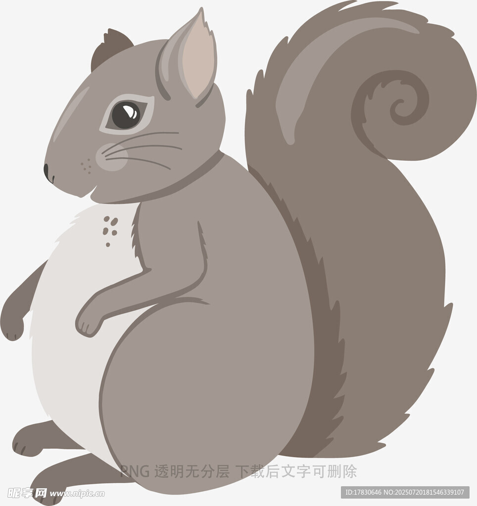 可爱松鼠卡通形象