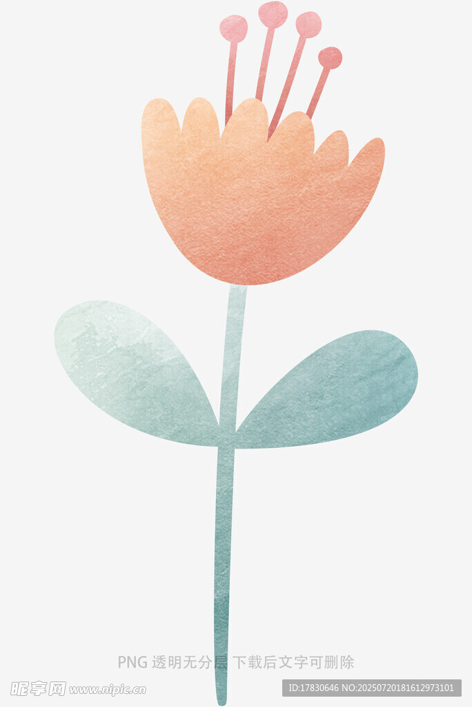 手绘清新花朵插画