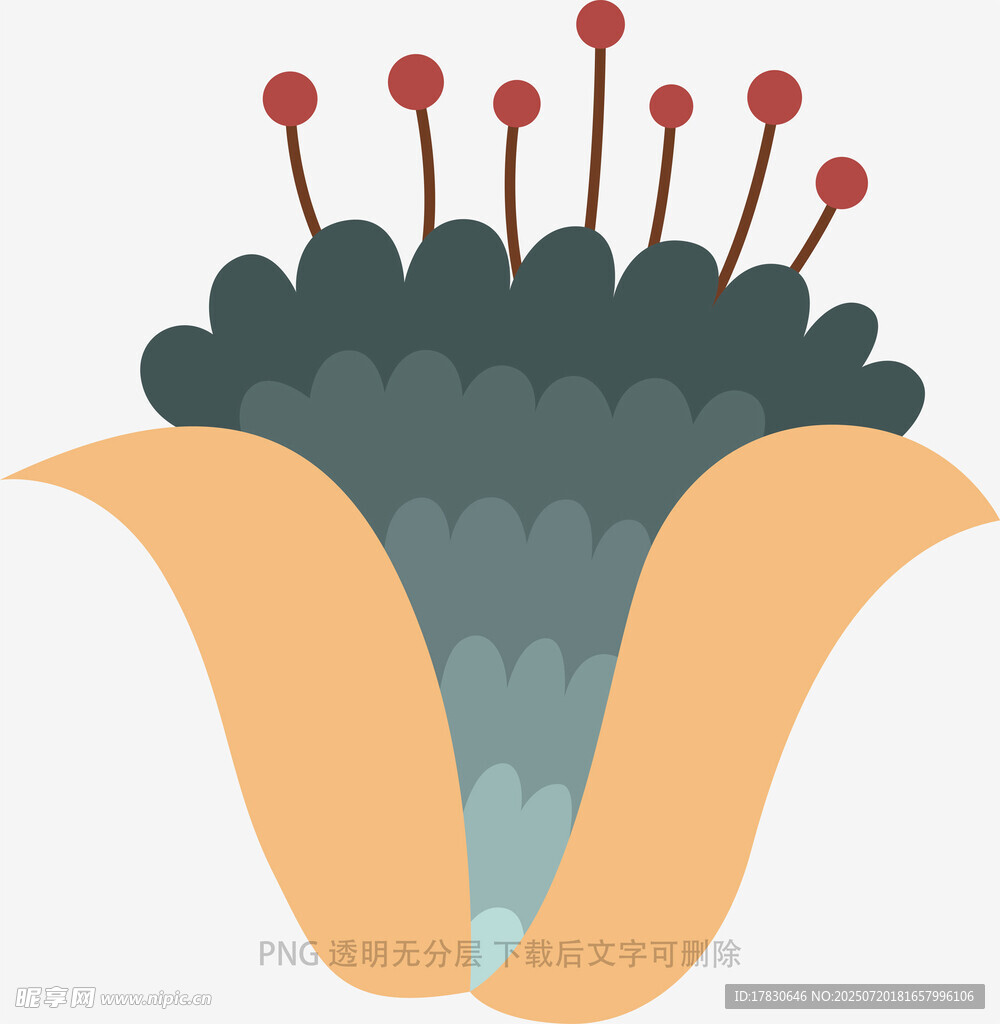 抽象花朵插画