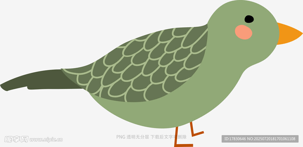 可爱绿鸟插画