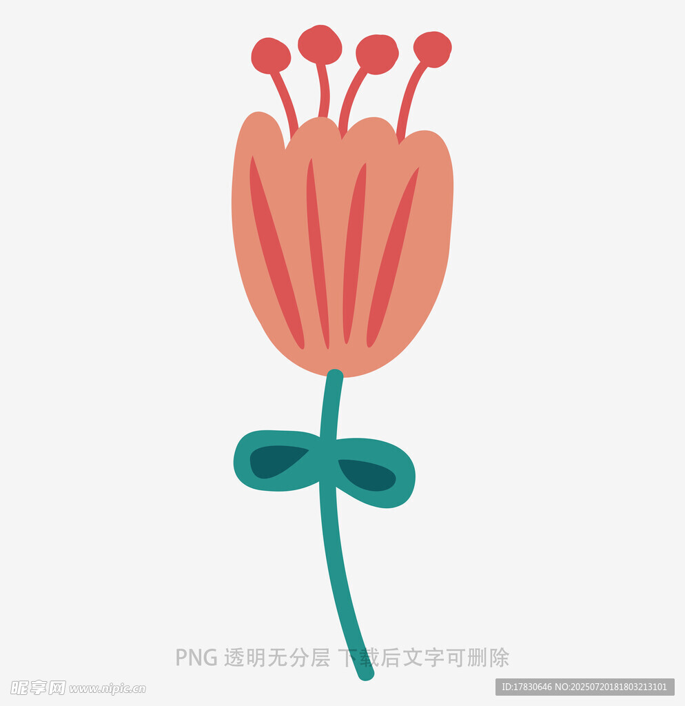 手绘简约风单朵小花插画