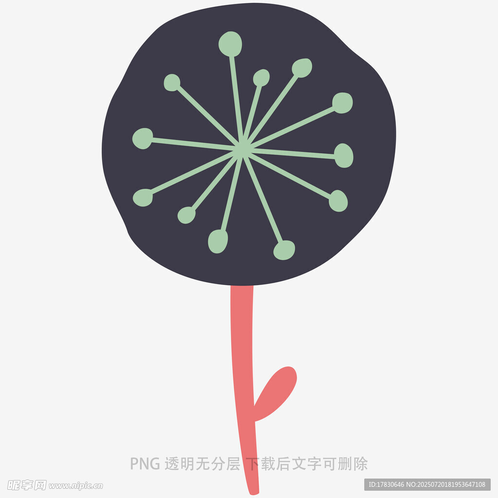 简约手绘蒲公英插画