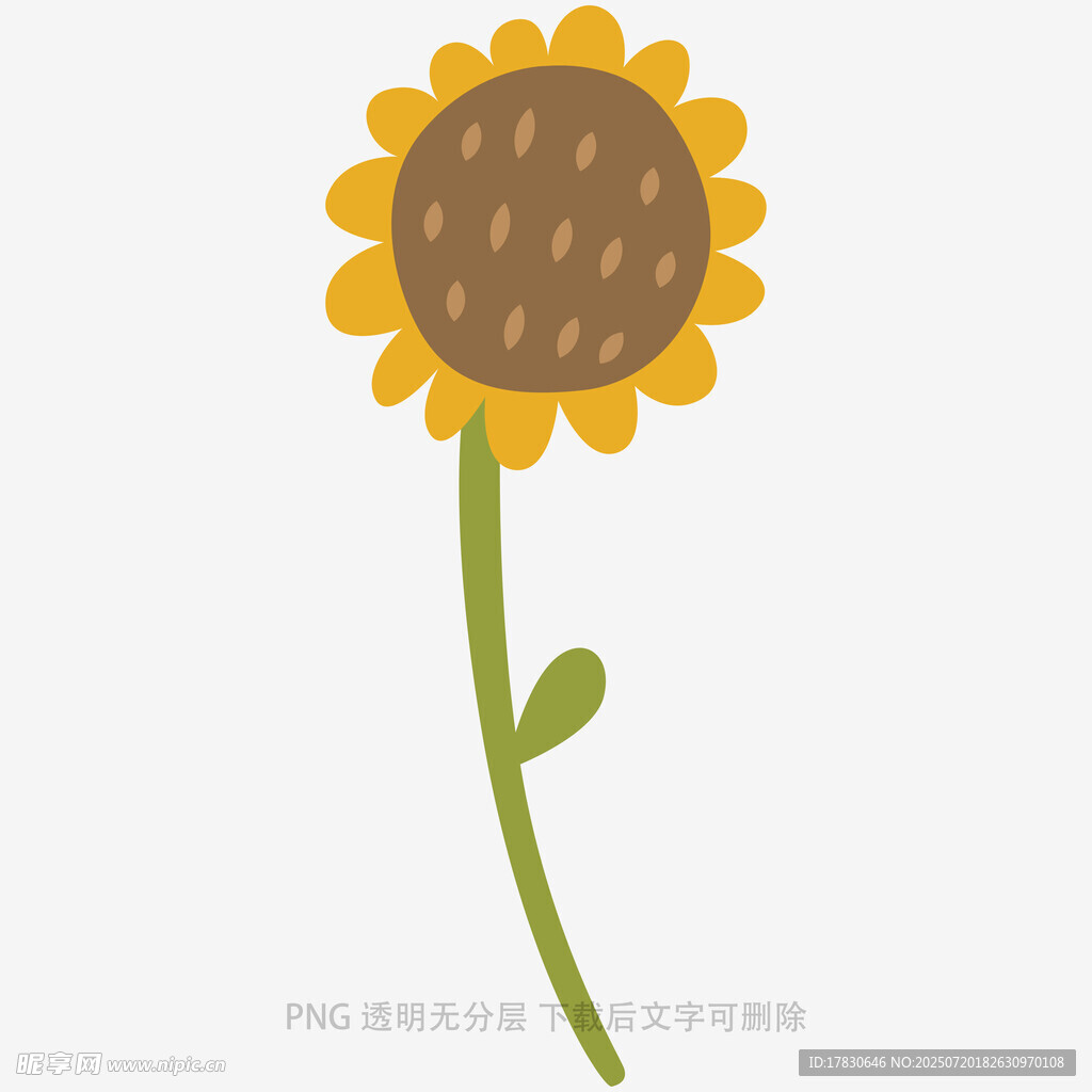 手绘向日葵插画