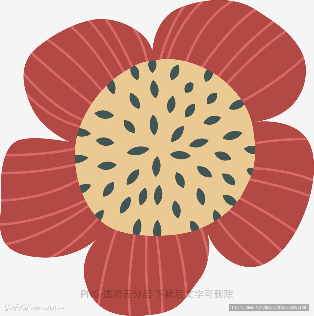 红色简约花朵插画图案