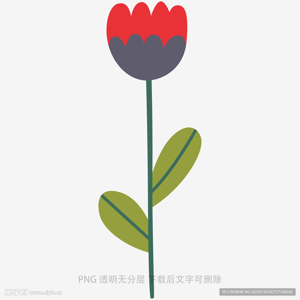 简约花朵插画