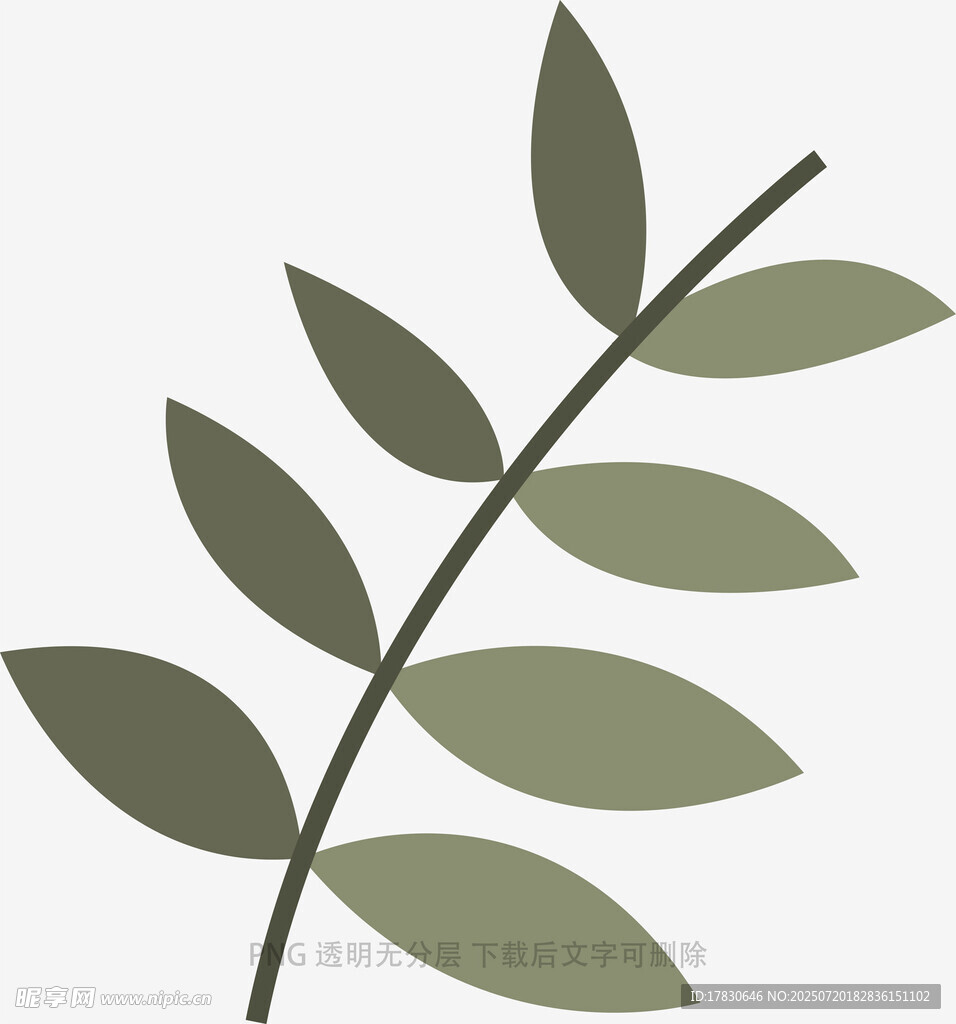 简约绿叶枝条插画