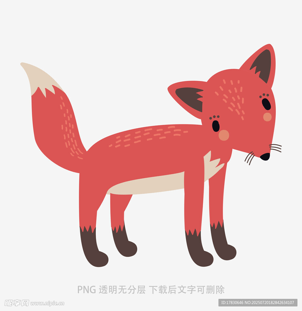 可爱红狐狸插画