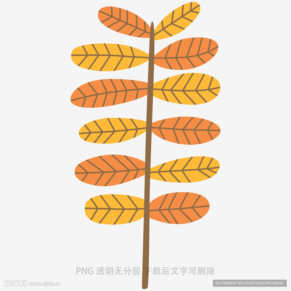 秋日橙黄叶片插画