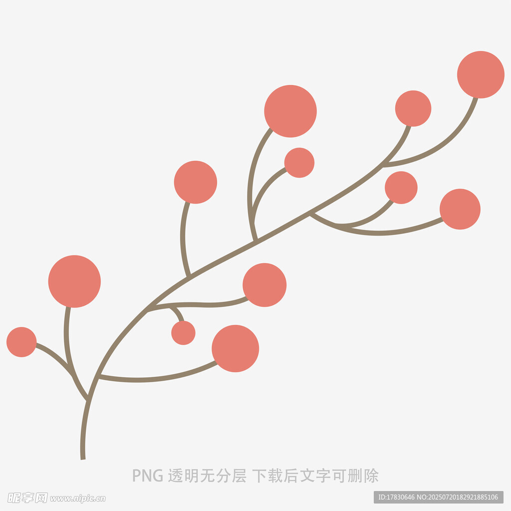 粉色浆果枝条插画