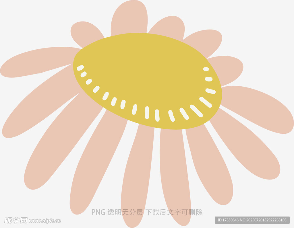 简约粉色雏菊插画图案