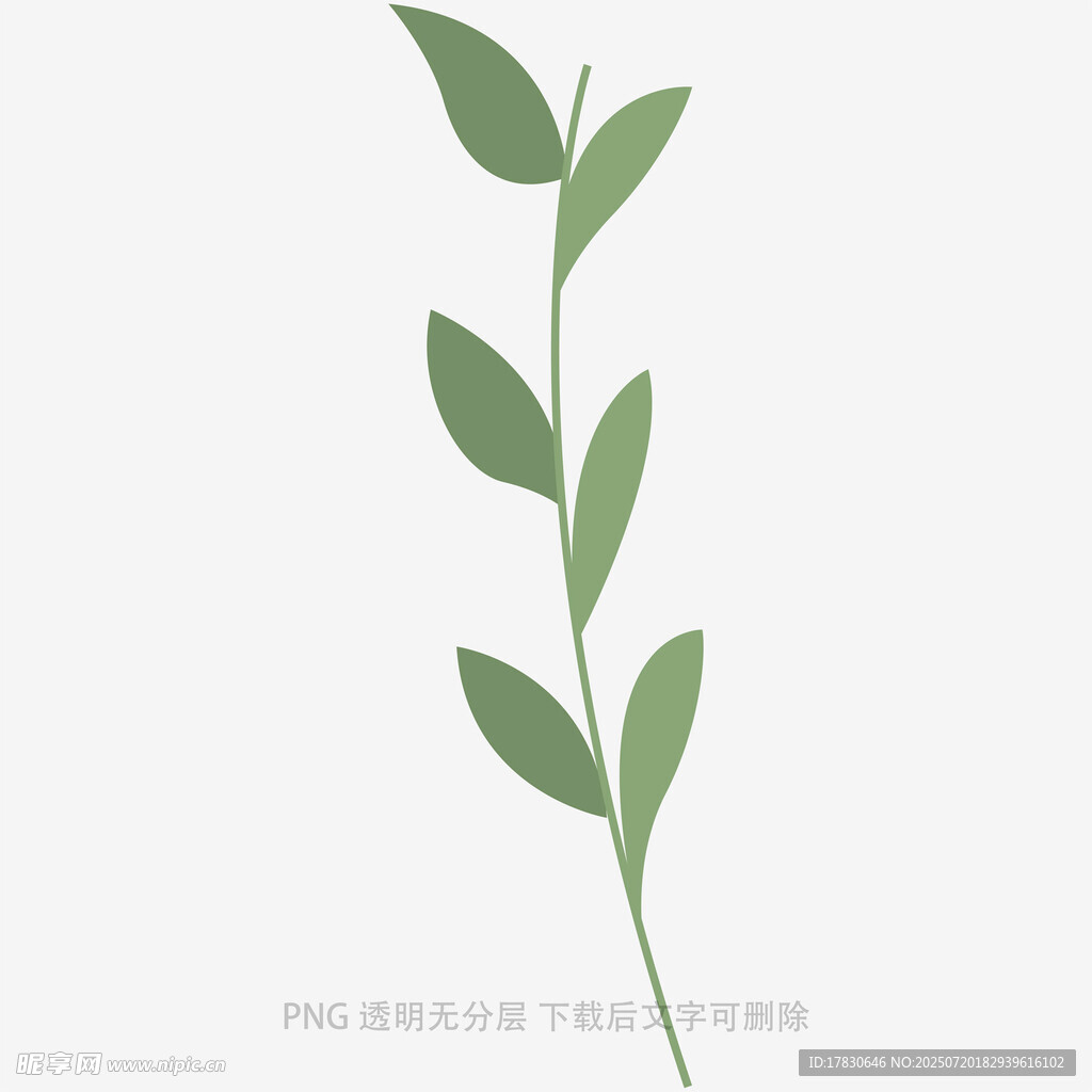简约绿叶枝条插画