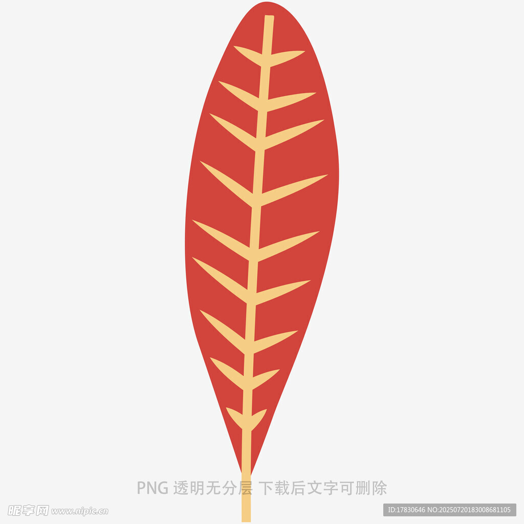 红色羽毛插画