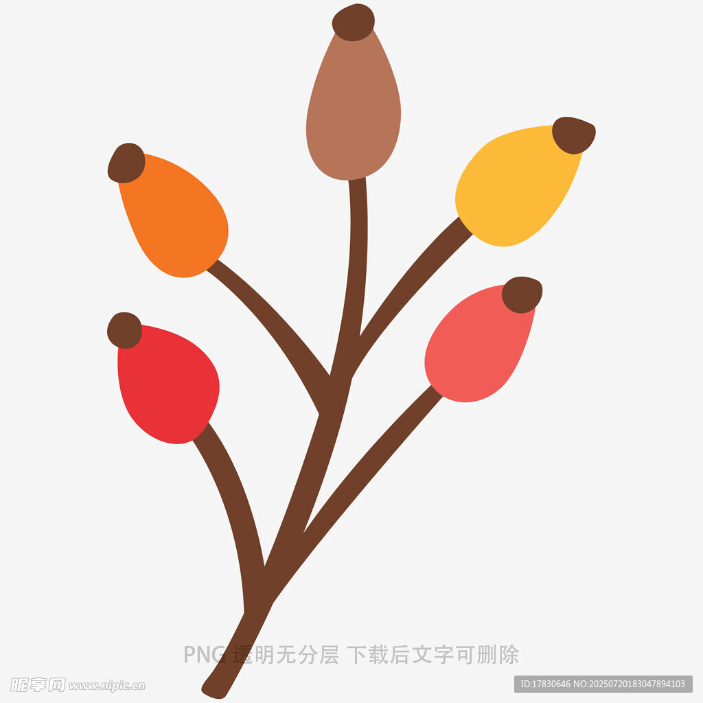 多彩果实树枝插画