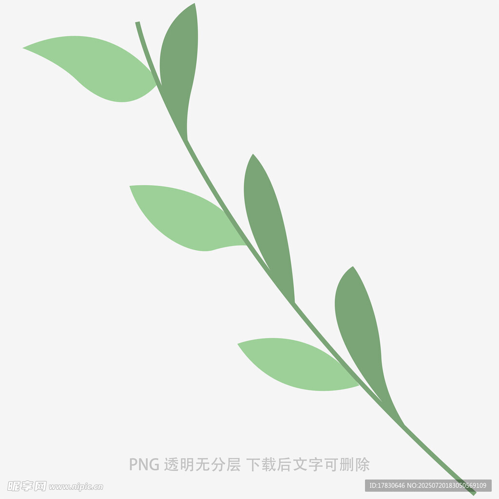 清新绿叶枝条矢量素材