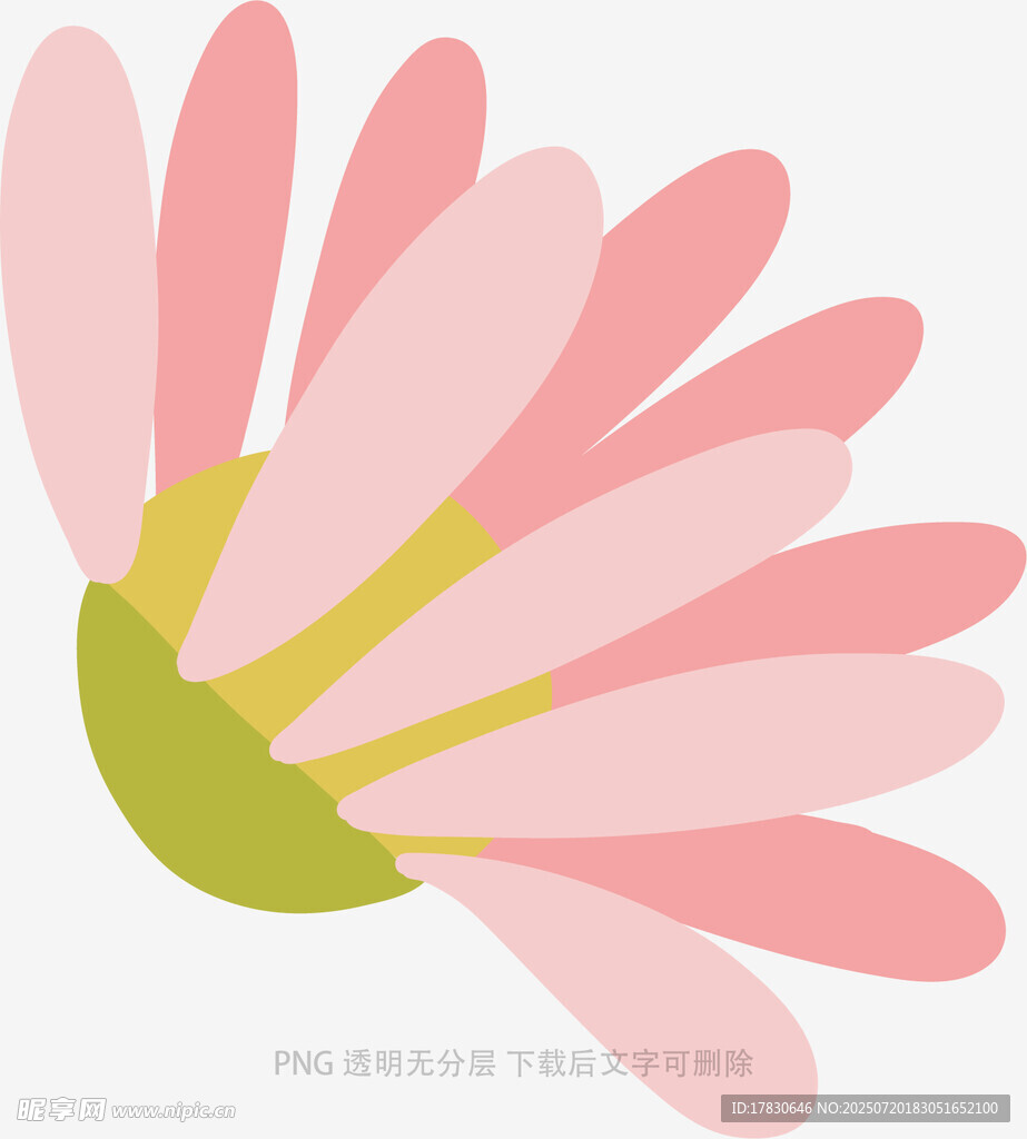 粉色花朵插画