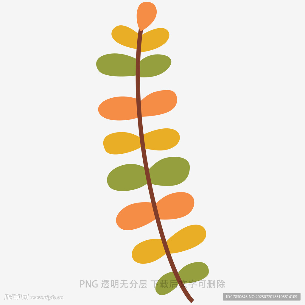 彩色叶片藤蔓插画