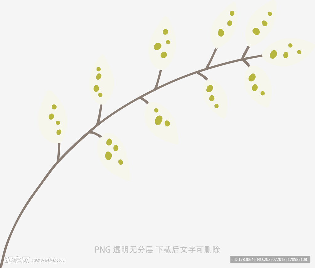 简约黄色花枝插画