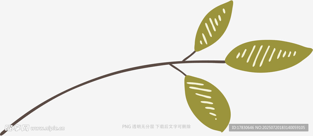 简约绿叶枝插画