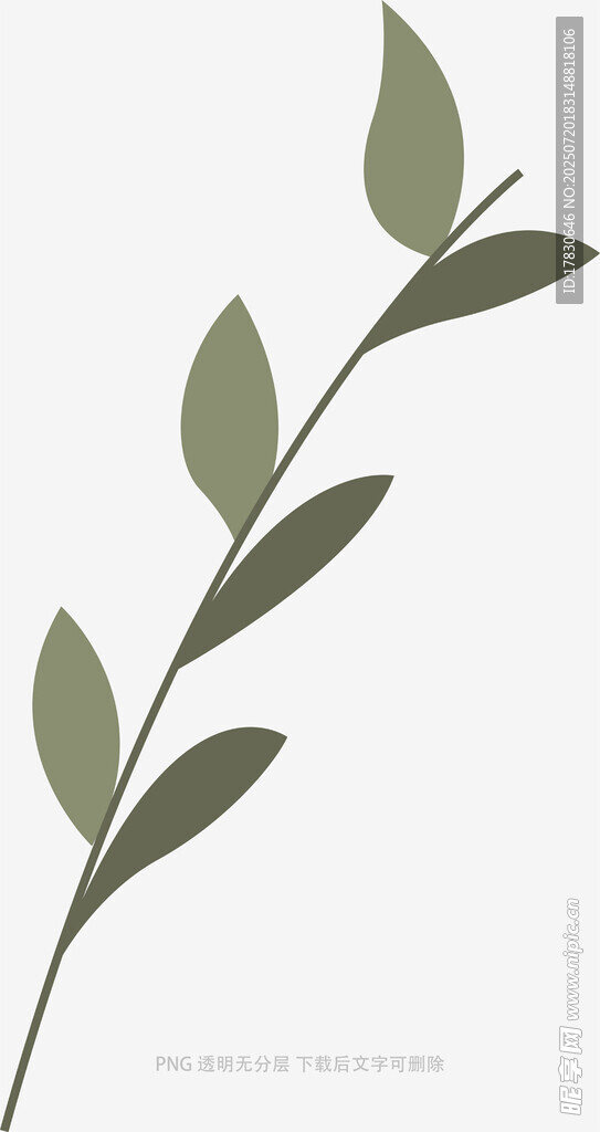 简约绿叶枝条插画