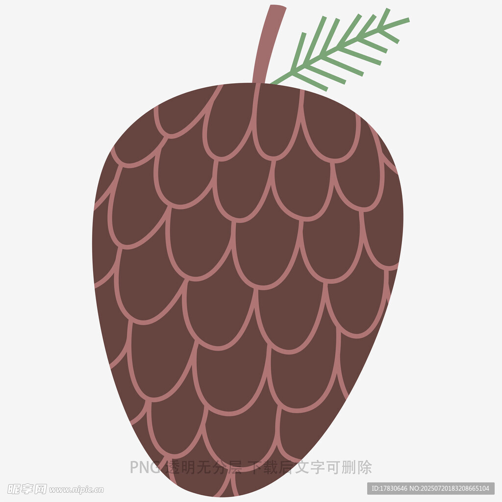 手绘松果插画