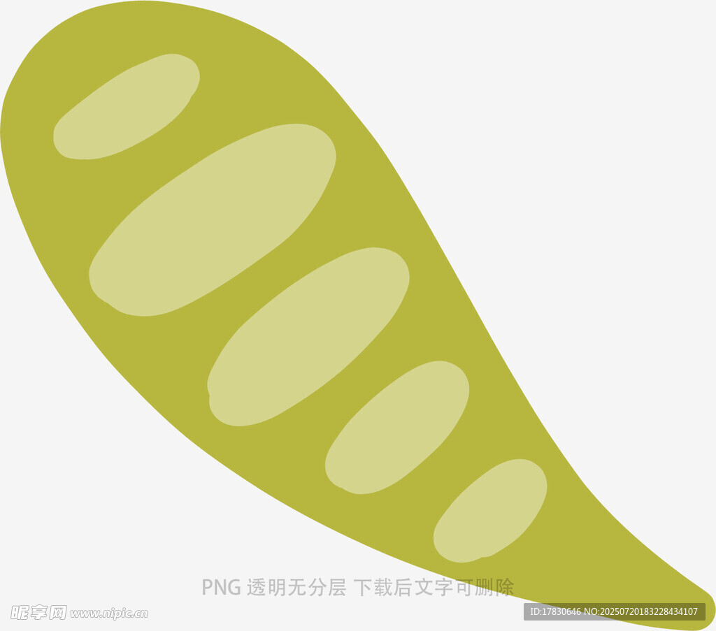 绿色豌豆插画图标